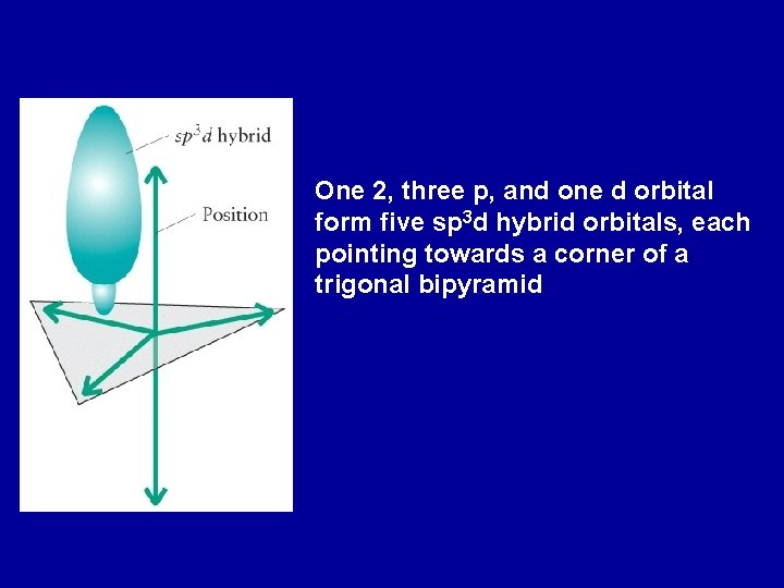 One 2, three p, and one d orbital form five sp 3 d hybrid