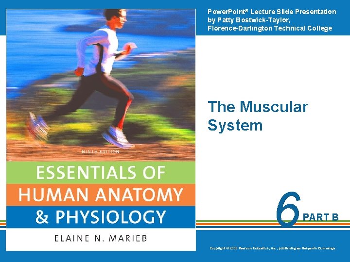 Power. Point® Lecture Slide Presentation by Patty Bostwick-Taylor, Florence-Darlington Technical College The Muscular System