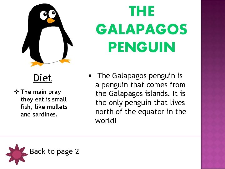THE GALAPAGOS PENGUIN Diet v The main pray they eat is small fish, like