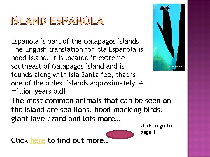 Espanola is part of the Galapagos islands. The English translation for Isla Espanola is
