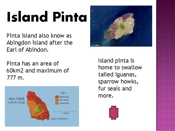 Island Pinta island also know as Abingdon island after the Earl of Abindon. Pinta