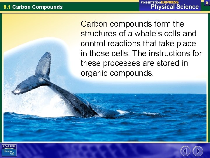 9. 1 Carbon Compounds Carbon compounds form the structures of a whale’s cells and