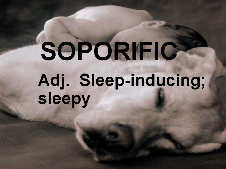 SOPORIFIC Adj. Sleep-inducing; sleepy 