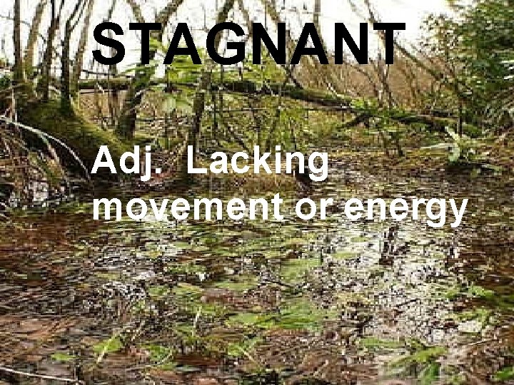 STAGNANT Adj. Lacking movement or energy 