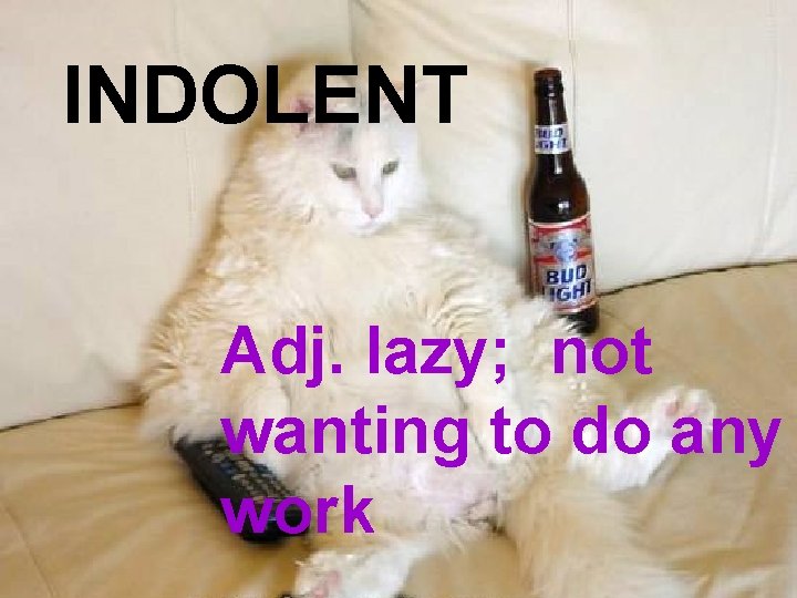 INDOLENT Adj. lazy; not wanting to do any work 