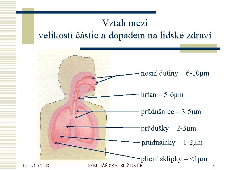 Vztah mezi velikostí částic a dopadem na lidské zdraví nosní dutiny – 6 -10μm