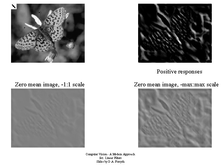 Positive responses Zero mean image, -1: 1 scale Zero mean image, -max: max scale Positive responses Zero mean image, -1: 1 scale Zero mean image, -max: max scale