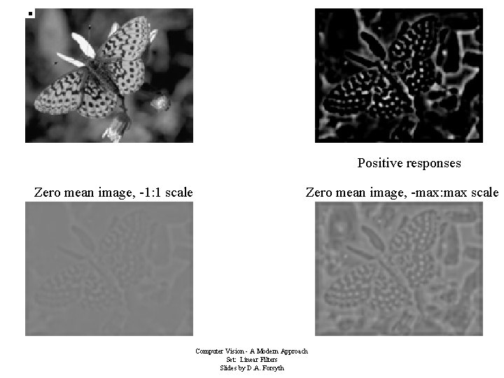 Positive responses Zero mean image, -1: 1 scale Zero mean image, -max: max scale Positive responses Zero mean image, -1: 1 scale Zero mean image, -max: max scale