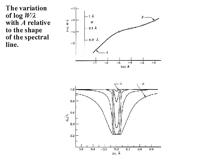 The variation of log W/λ with A relative to the shape of the spectral