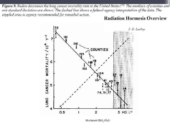 Mortazavi SMJ, Ph. D 8 