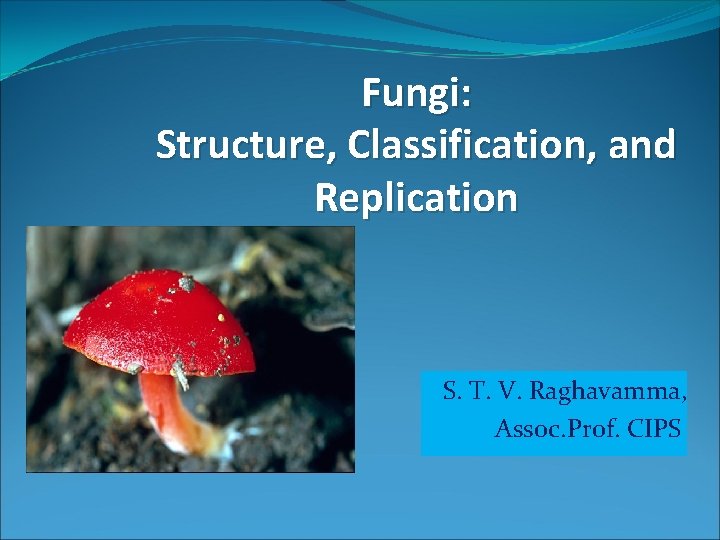 Fungi: Structure, Classification, and Replication S. T. V. Raghavamma, Assoc. Prof. CIPS 