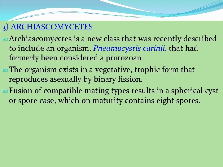 3) ARCHIASCOMYCETES Archiascomycetes is a new class that was recently described to include an