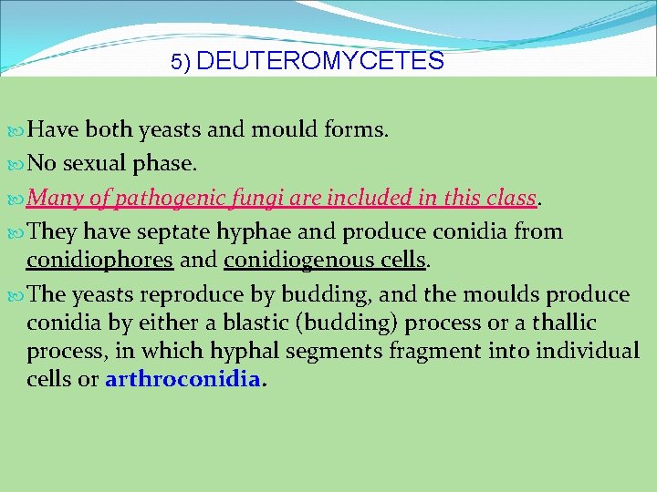 5) DEUTEROMYCETES Have both yeasts and mould forms. No sexual phase. Many of pathogenic
