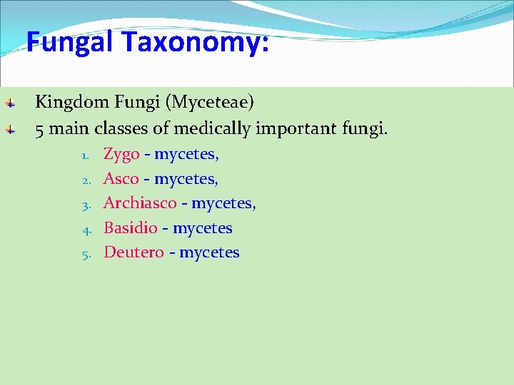 Fungal Taxonomy: Kingdom Fungi (Myceteae) 5 main classes of medically important fungi. 1. 2.