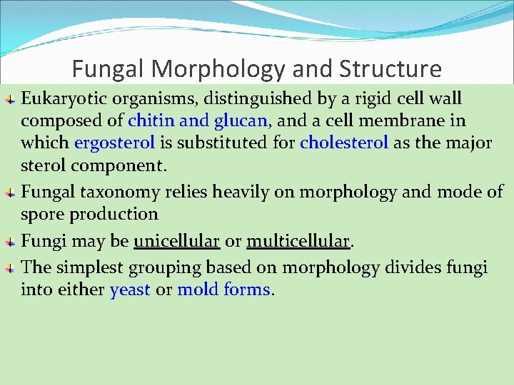 Fungal Morphology and Structure Eukaryotic organisms, distinguished by a rigid cell wall composed of