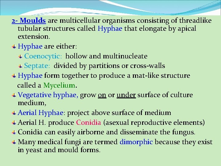 2 - Moulds are multicellular organisms consisting of threadlike tubular structures called Hyphae that