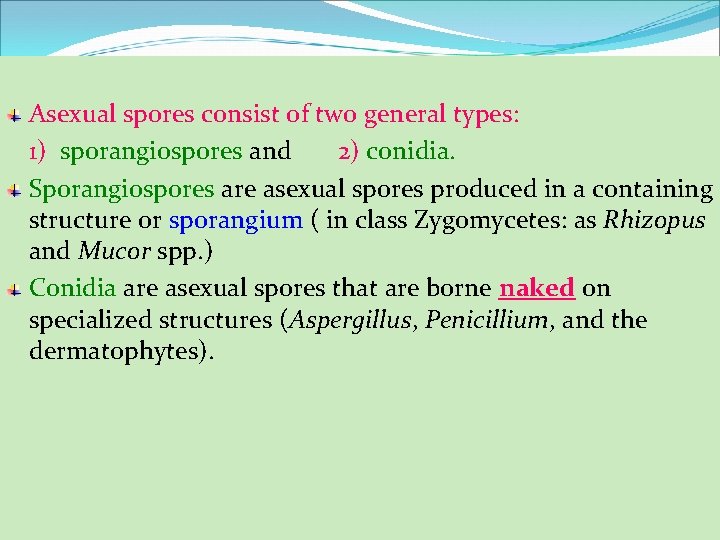 Asexual spores consist of two general types: 1) sporangiospores and 2) conidia. Sporangiospores are