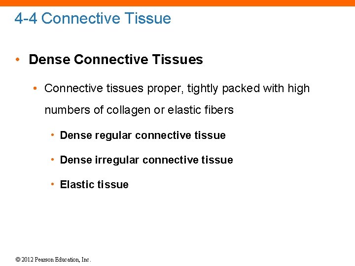 4 -4 Connective Tissue • Dense Connective Tissues • Connective tissues proper, tightly packed