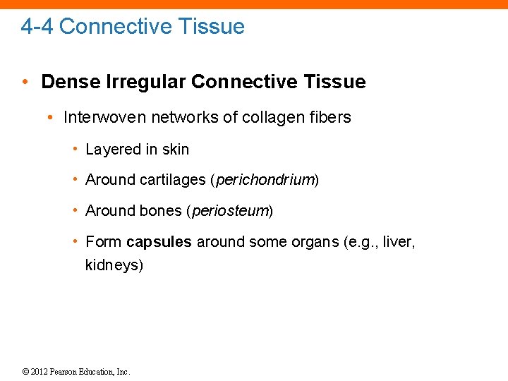 4 -4 Connective Tissue • Dense Irregular Connective Tissue • Interwoven networks of collagen