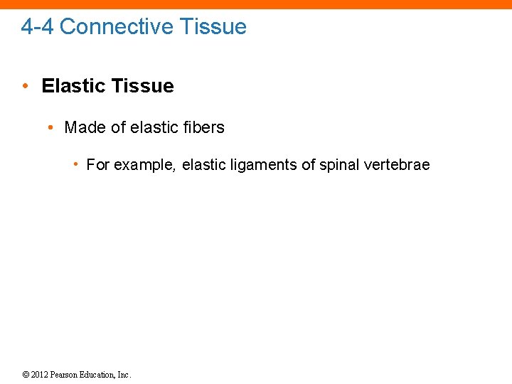 4 -4 Connective Tissue • Elastic Tissue • Made of elastic fibers • For