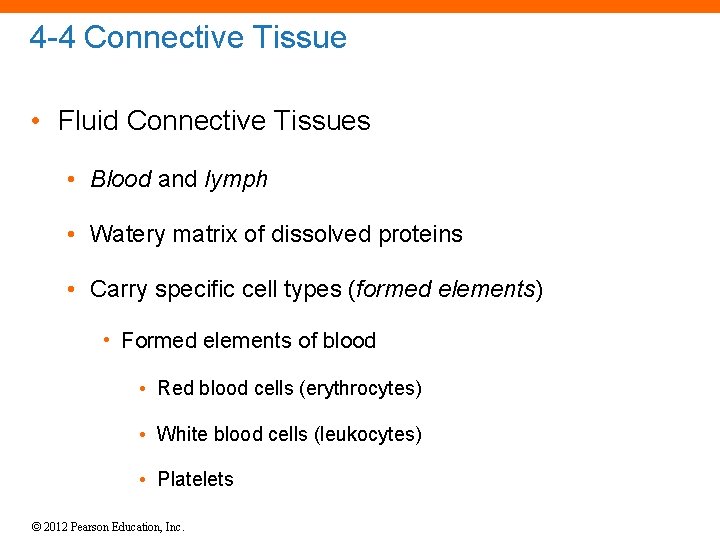 4 -4 Connective Tissue • Fluid Connective Tissues • Blood and lymph • Watery