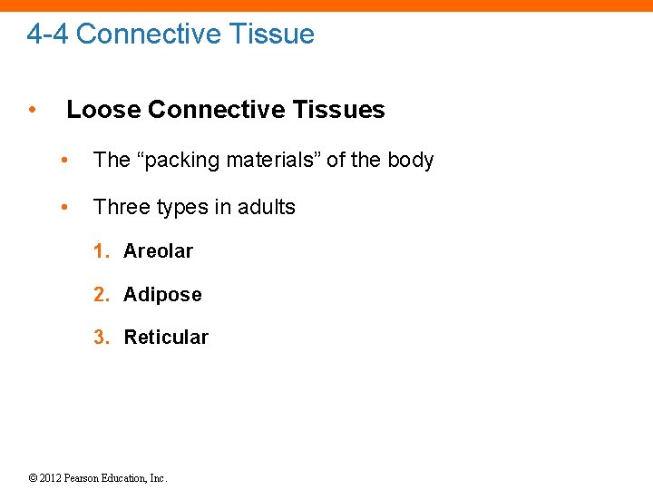 4 -4 Connective Tissue • Loose Connective Tissues • The “packing materials” of the