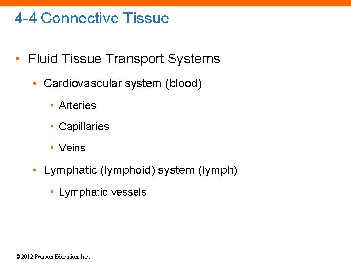 4 -4 Connective Tissue • Fluid Tissue Transport Systems • Cardiovascular system (blood) •