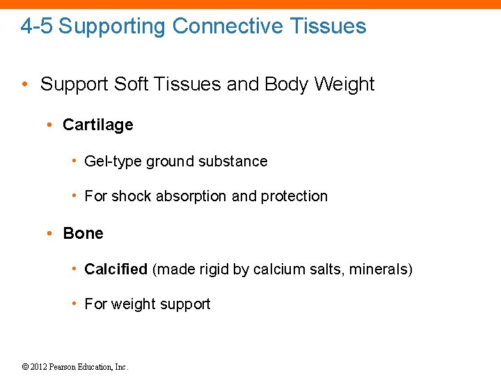 4 -5 Supporting Connective Tissues • Support Soft Tissues and Body Weight • Cartilage