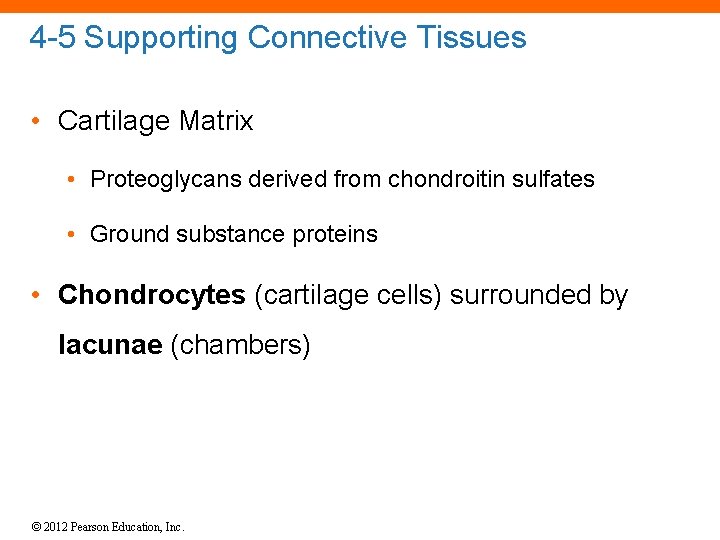 4 -5 Supporting Connective Tissues • Cartilage Matrix • Proteoglycans derived from chondroitin sulfates