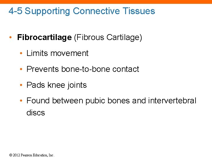 4 -5 Supporting Connective Tissues • Fibrocartilage (Fibrous Cartilage) • Limits movement • Prevents