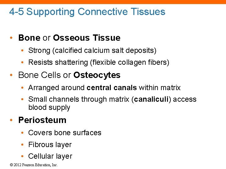 4 -5 Supporting Connective Tissues • Bone or Osseous Tissue • Strong (calcified calcium