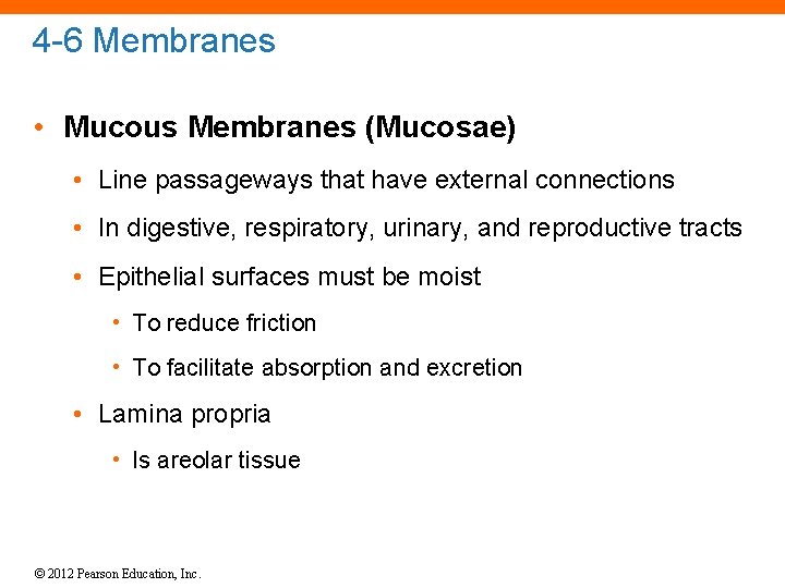 4 -6 Membranes • Mucous Membranes (Mucosae) • Line passageways that have external connections