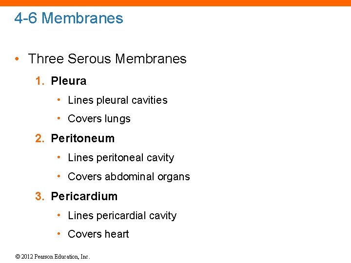 4 -6 Membranes • Three Serous Membranes 1. Pleura • Lines pleural cavities •