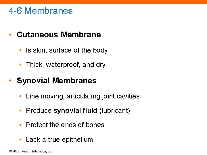 4 -6 Membranes • Cutaneous Membrane • Is skin, surface of the body •