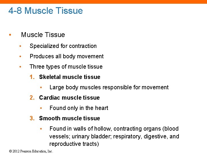 4 -8 Muscle Tissue • Specialized for contraction • Produces all body movement •