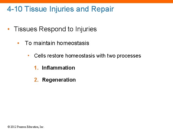 4 -10 Tissue Injuries and Repair • Tissues Respond to Injuries • To maintain