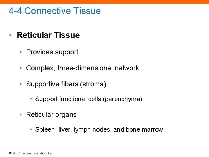 4 -4 Connective Tissue • Reticular Tissue • Provides support • Complex, three-dimensional network