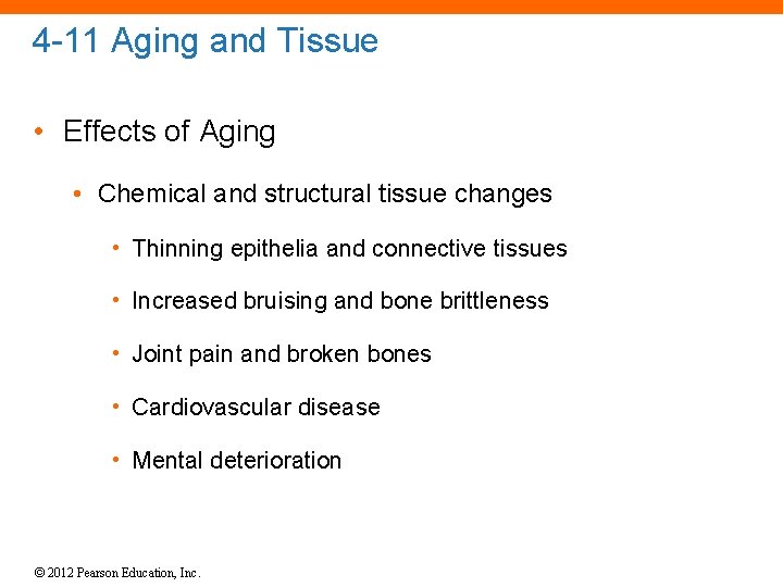 4 -11 Aging and Tissue • Effects of Aging • Chemical and structural tissue