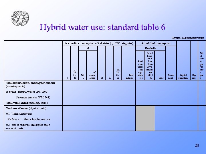 Hybrid water use: standard table 6 Physical and monetary units Intermediate consumption of industries