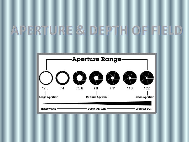 APERTURE & DEPTH OF FIELD 