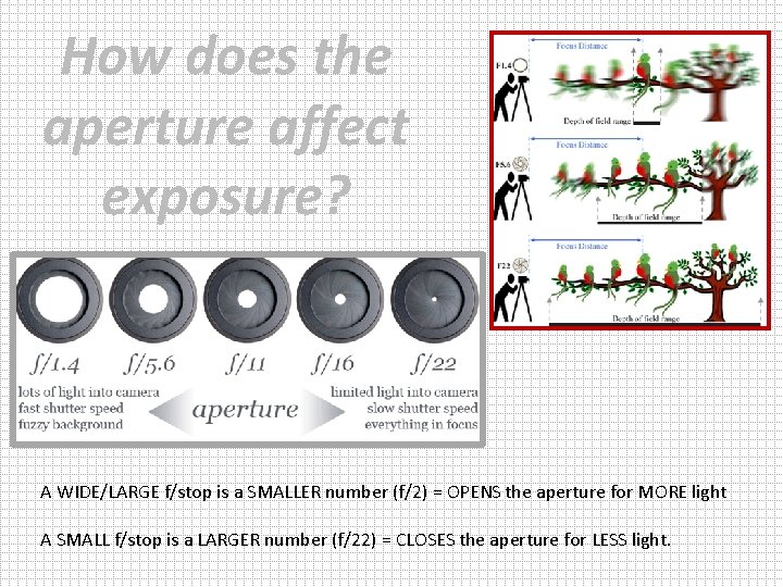 How does the aperture affect exposure? A WIDE/LARGE f/stop is a SMALLER number (f/2)