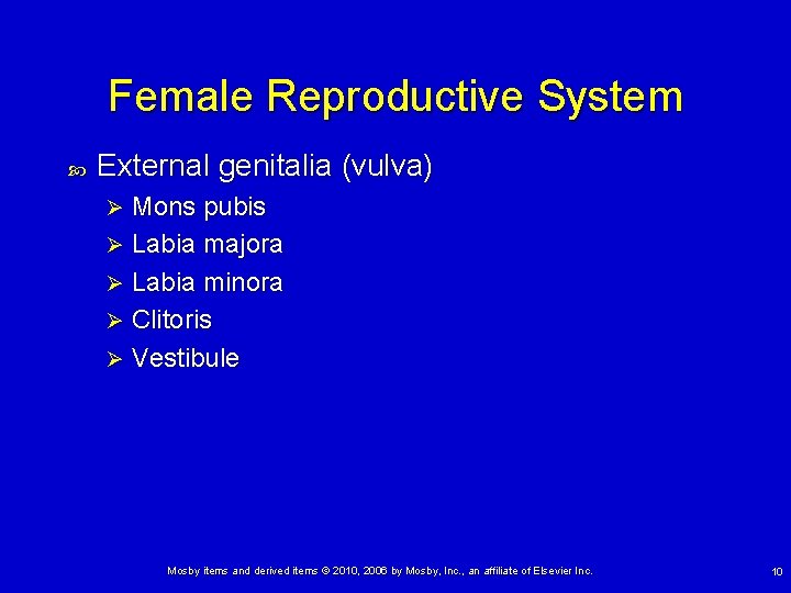Female Reproductive System External genitalia (vulva) Mons pubis Ø Labia majora Ø Labia minora
