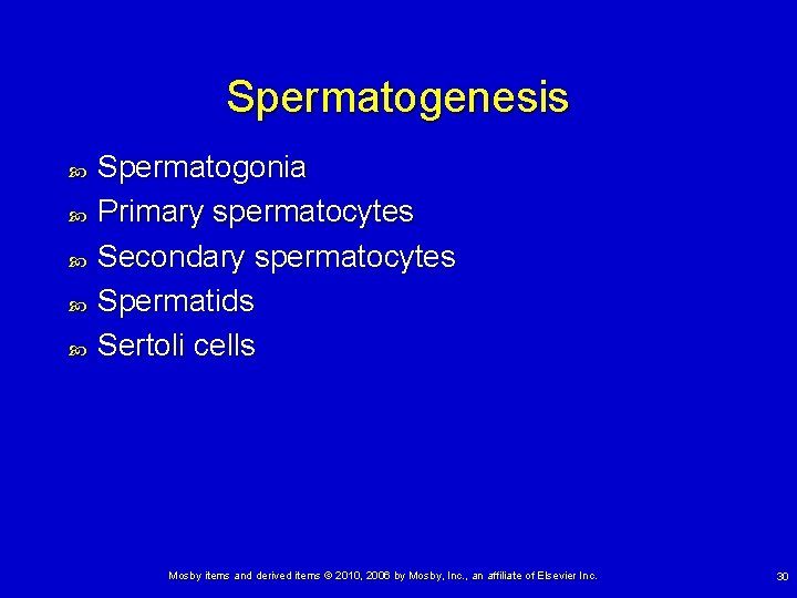 Spermatogenesis Spermatogonia Primary spermatocytes Secondary spermatocytes Spermatids Sertoli cells Mosby items and derived items