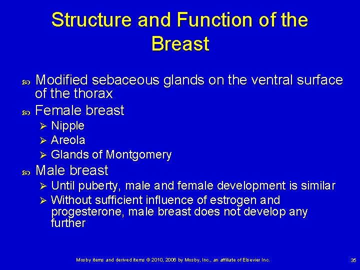 Structure and Function of the Breast Modified sebaceous glands on the ventral surface of
