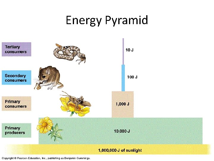 Energy Pyramid 