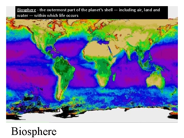 Biosphere - the outermost part of the planet's shell — including air, land water