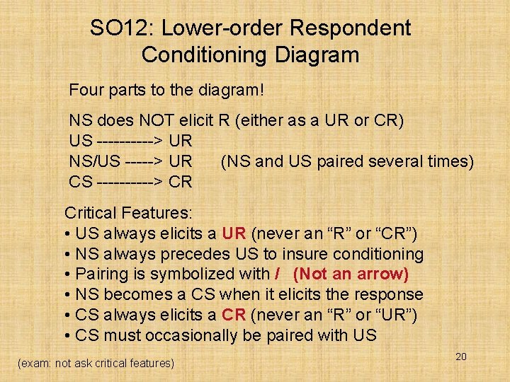 SO 12: Lower-order Respondent Conditioning Diagram Four parts to the diagram! NS does NOT