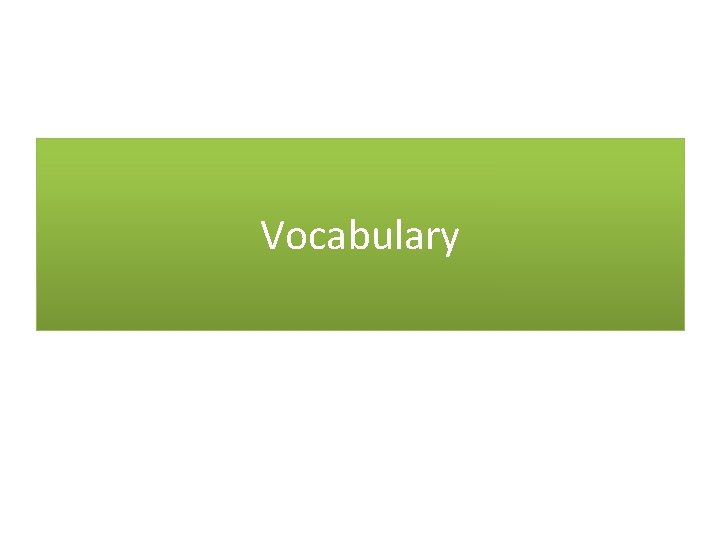 Vocabulary 