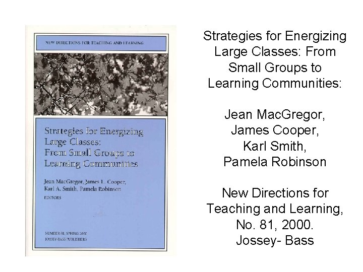 Strategies for Energizing Large Classes: From Small Groups to Learning Communities: Jean Mac. Gregor,