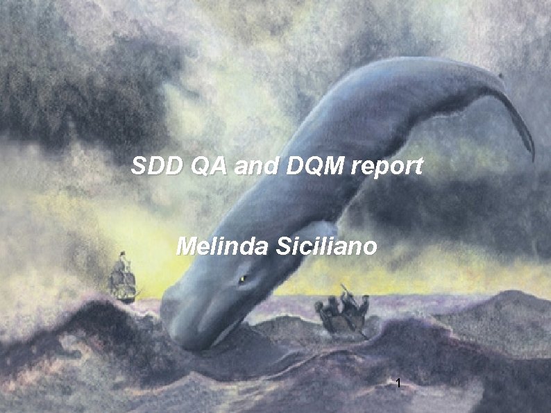 SDD QA and DQM report Melinda Siciliano 1 